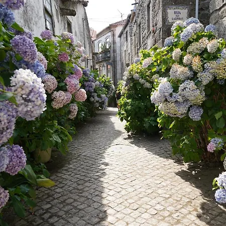 Burgo House * Trancoso