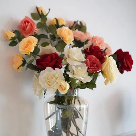 Burgo House * Trancoso