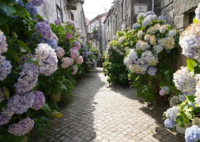 Burgo House * トランコゾ