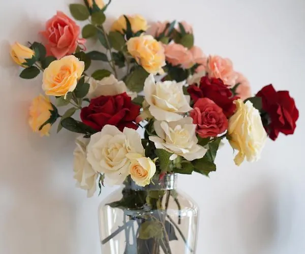 Burgo House * Trancoso